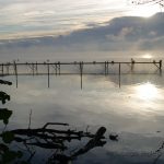 Herbststimmung im Ascheberger Seglerhafen