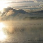 Herbststimmung im Ascheberger Seglerhafen