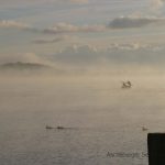 Herbststimmung im Ascheberger Seglerhafen