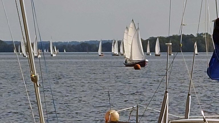 Absegeln 2025 am 20. September 2025 Die Segler*innen des Plöner Sees auf Kurs nach Ascheberg.