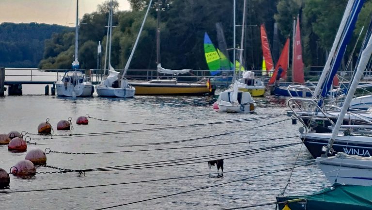 Absegeln 2025 am 20. September 2025 Die Seglerinnen und Segler der Vereine vom Großen Plöner See legen mit Ihren Booten auch an der Ascheberger Dampferbrücke und die Katamarane am Strand.
