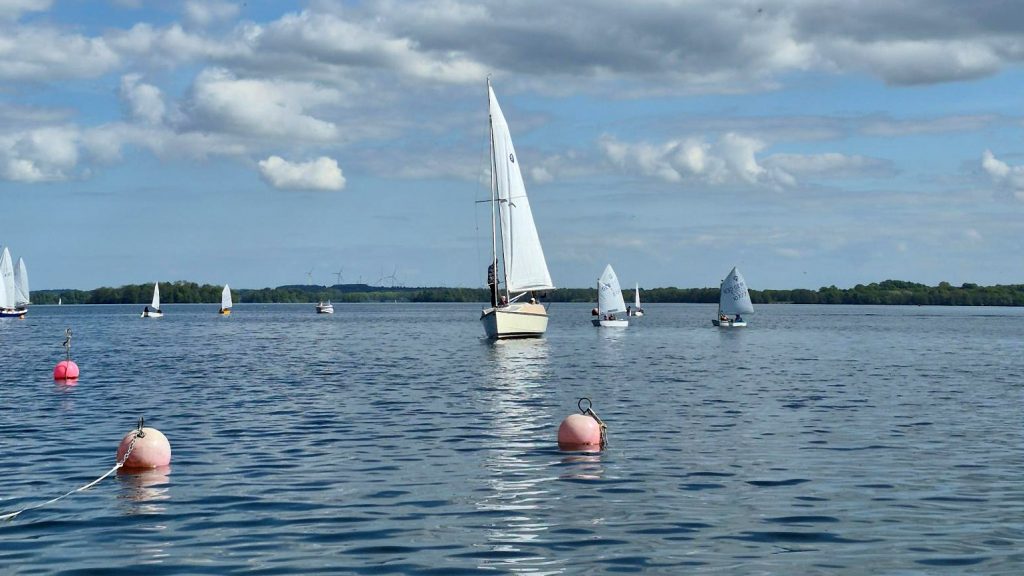 Mehrere Segelboote auf ruhigem See, drei pinke Bojen im Vordergrund, dahinter größere und kleinere Jollen, grüner Uferstreifen mit Windrädern am Horizont, friedliche sommerliche Segelatmosphäre.