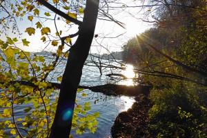 Herbst am Plöner See - Ascheberger Seglergemeinschaft Herbst am Plöner See - Ascheberger Seglergemeinschaft