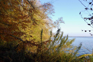 Herbst am Plöner See - Ascheberger Seglergemeinschaft Herbst am Plöner See - Ascheberger Seglergemeinschaft