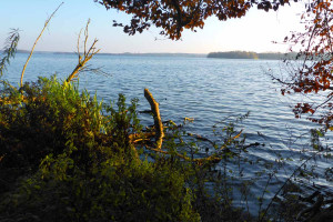 Herbst am Plöner See - Ascheberger Seglergemeinschaft Herbst am Plöner See - Ascheberger Seglergemeinschaft