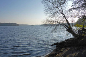 Herbst am Plöner See - Ascheberger Seglergemeinschaft Herbst am Plöner See - Ascheberger Seglergemeinschaft
