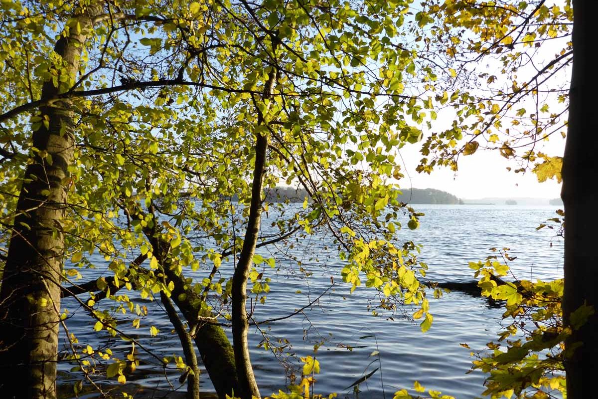 Herbst am Plöner See