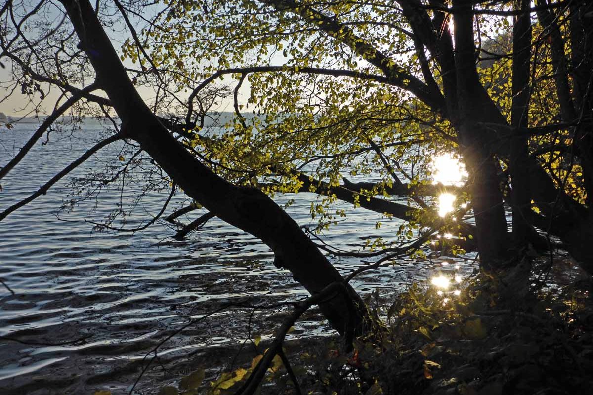 Herbst am Plöner See - Ascheberger Seglergemeinschaft